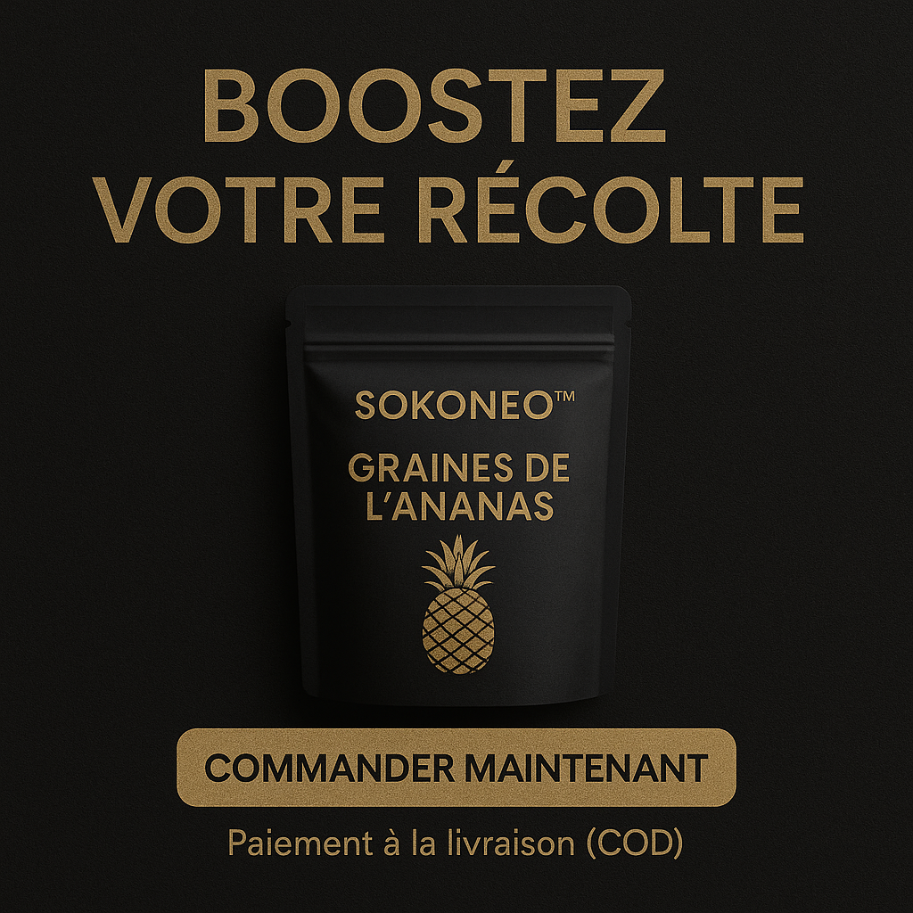 Sokoneo™ Graines de L’ananas_CD