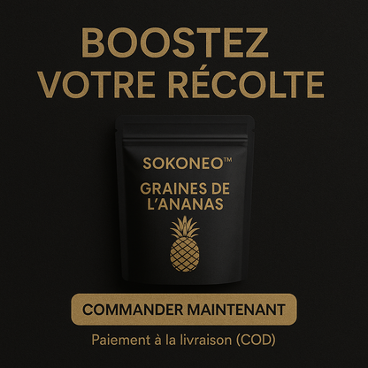 Sokoneo™ Graines de L’ananas_CD