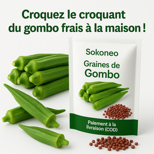Sokoneo™ Graines de Gombo_GN
