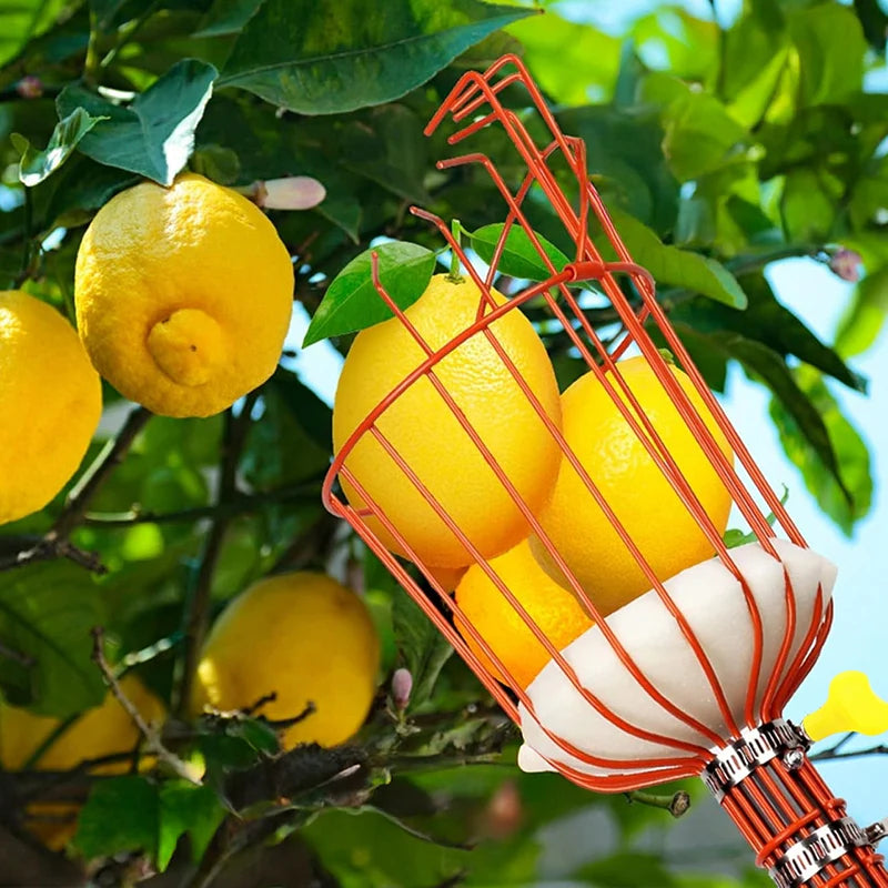 Sokoneo™ Outil de Récolte de Fruits_KG