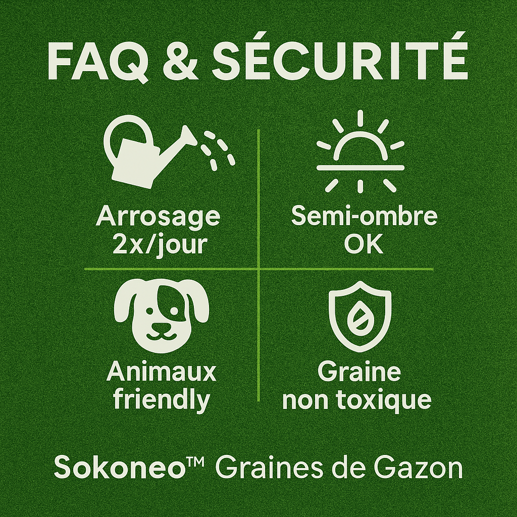 Sokoneo™ Graines de Gazon_SN