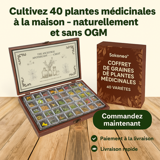 Sokoneo™ Coffret de Graines Médicinales – 40 Variétés_ML