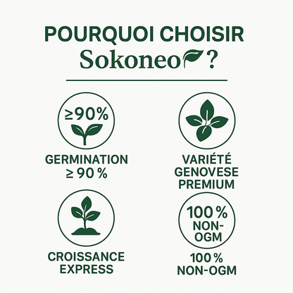 Sokoneo™ Graines de Basilic_ML