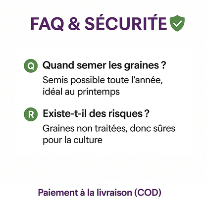 Sokoneo™ Graines de Raisin_CD