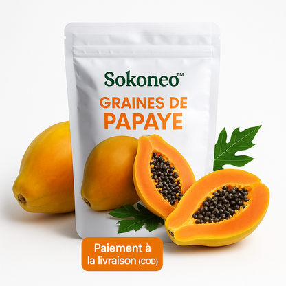 Sokoneo™ Graines de Papaye_GN