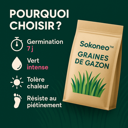 Sokoneo™ Graines de Gazon_SN