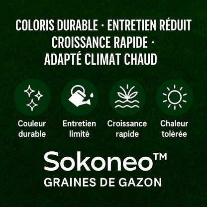 Sokoneo™ Graines de Gazon_SN