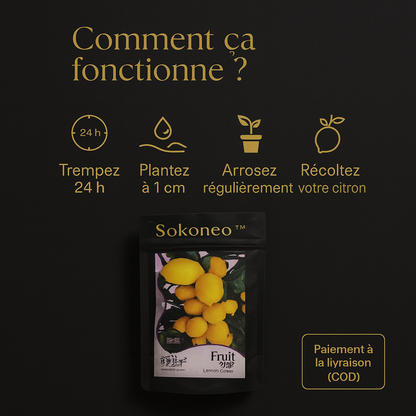 Sokoneo™ Graines de Citron_cd