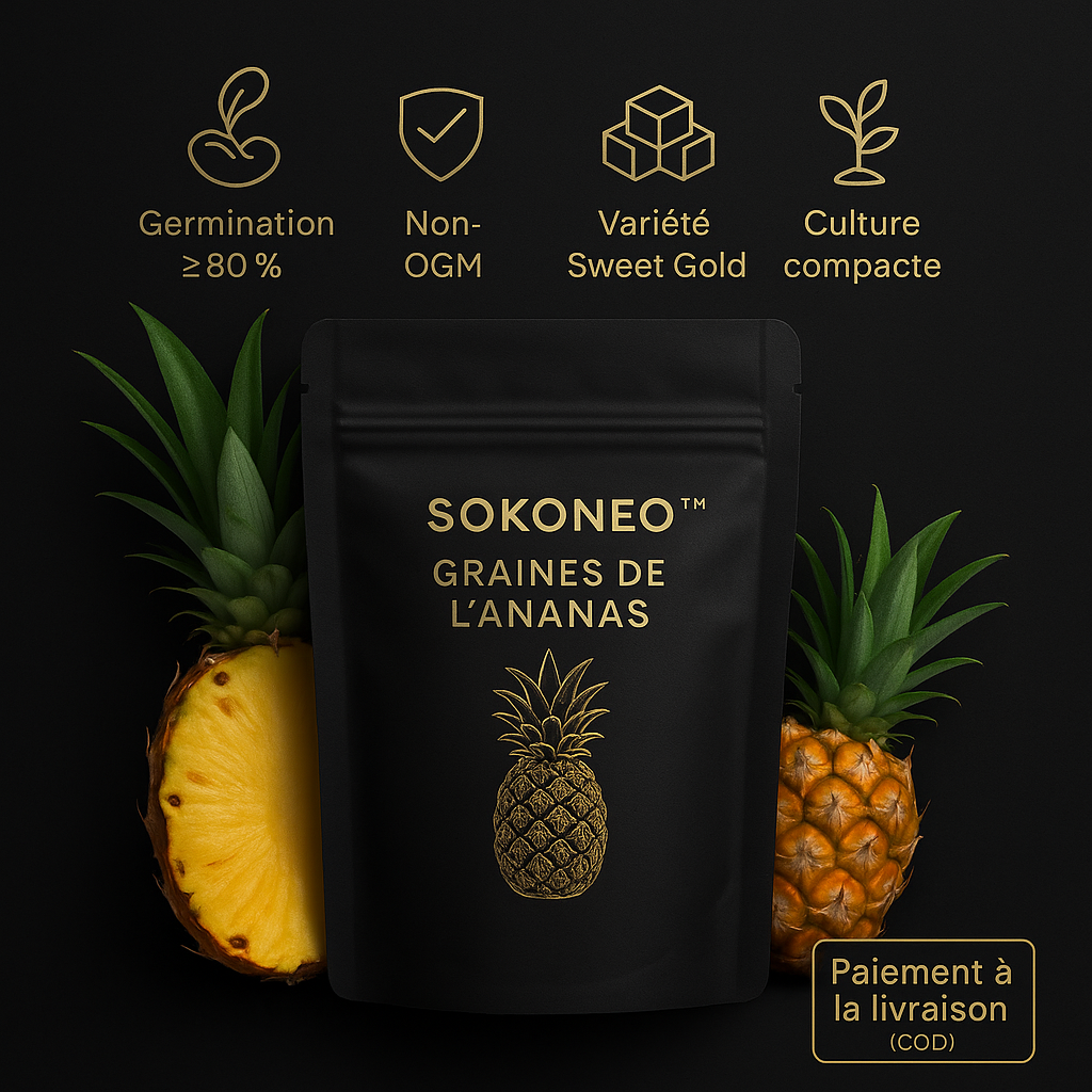 Sokoneo™ Graines de L’ananas_CD