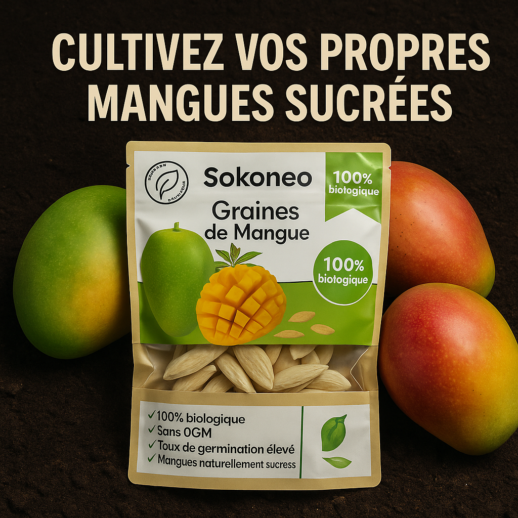 Sokoneo™ Graines de Mangue _KG