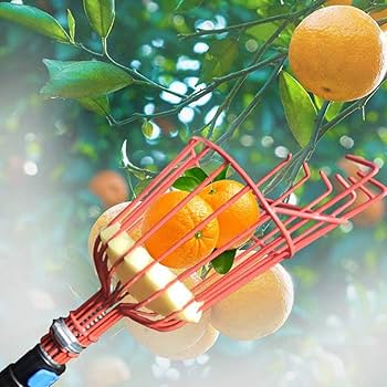 Sokoneo™ Outil de Récolte de Fruits_KG