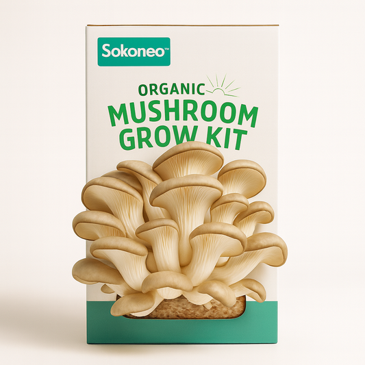 Sokoneo™ Kit de culture de champignons_CM