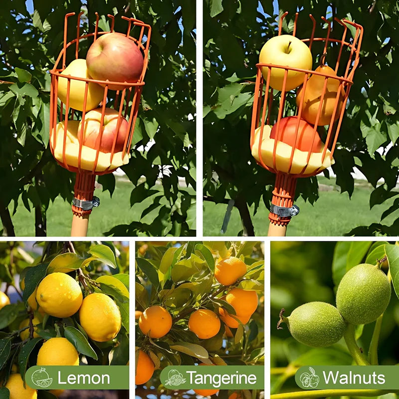 Sokoneo™ Outil de Récolte de Fruits_KG