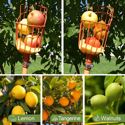 Sokoneo™ Outil de Récolte de Fruits_KG