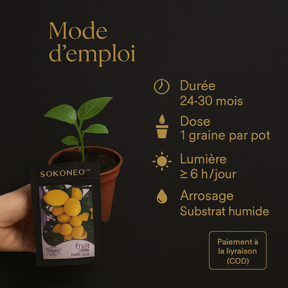 Sokoneo™ Graines de Citron_cd