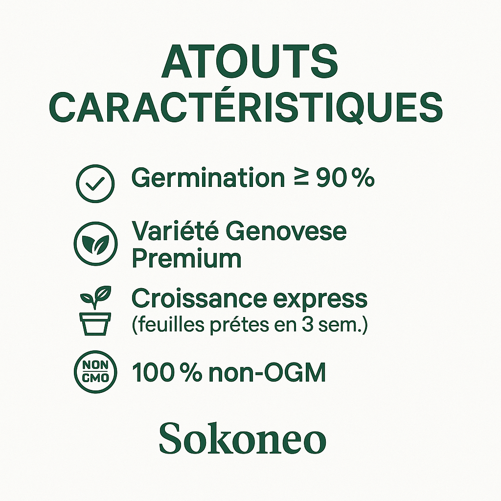 Sokoneo™ Graines de Basilic_ML