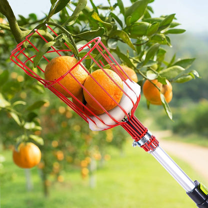 Sokoneo™ Outil de Récolte de Fruits_KG