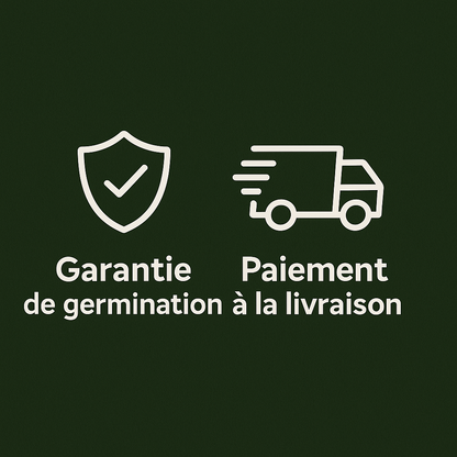 Sokoneo™ Graines d’Avocat_CD