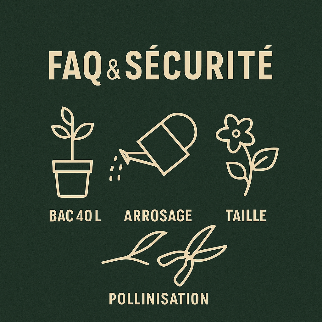 Sokoneo™ Graines d’Avocat_CD
