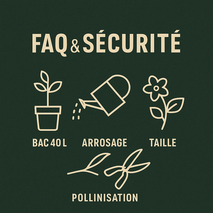 Sokoneo™ Graines d’Avocat_CD