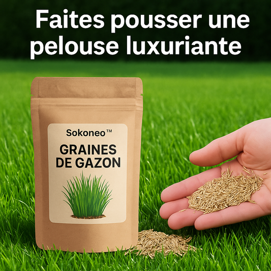 Sokoneo™ Graines de Gazon_SN