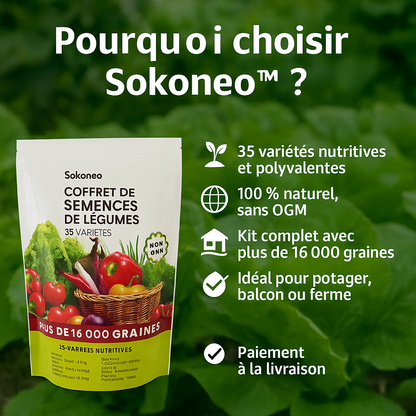 Sokoneo™ Coffret de semences de légumes – 35 variétés_ML