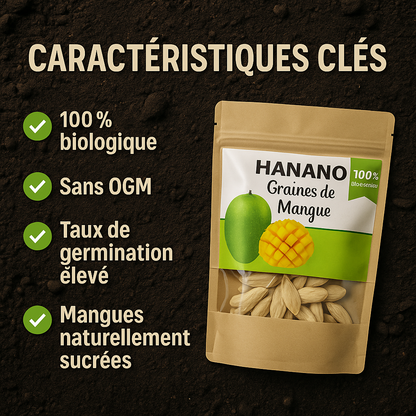 Sokoneo™ Graines de Mangue _KG