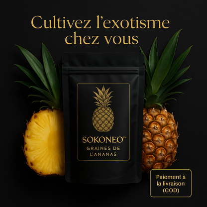 Sokoneo™ Graines de L’ananas_CD