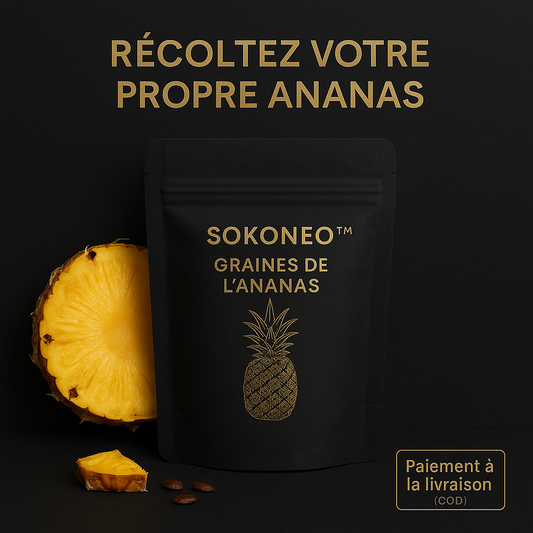 Sokoneo™ Graines de L’ananas_ML