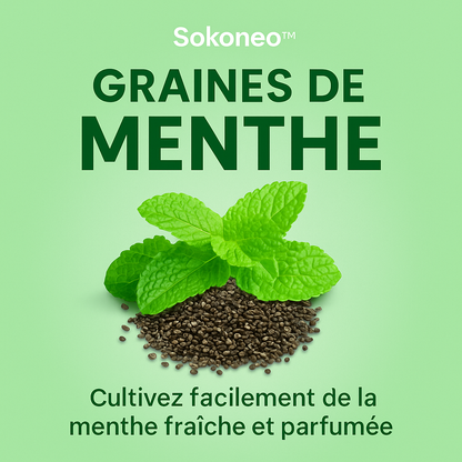 Sokoneo™ Graines de Menthe_ML