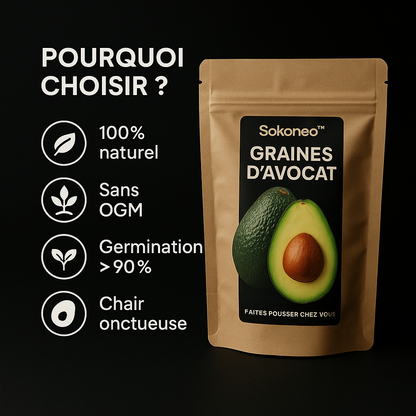 Sokoneo™ Graines d’Avocat_CD