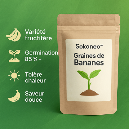 Sokoneo™ Graines de Bananes_CD