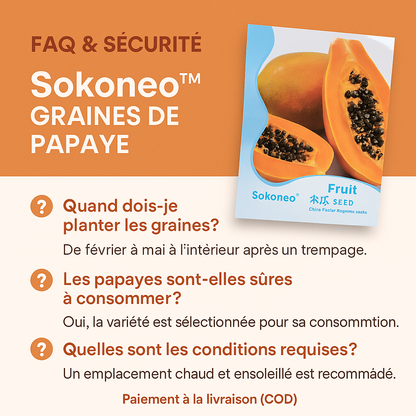 Sokoneo™ Graines de Papaye_GN