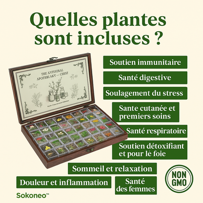 Sokoneo™ Coffret de Graines Médicinales – 40 Variétés_CD