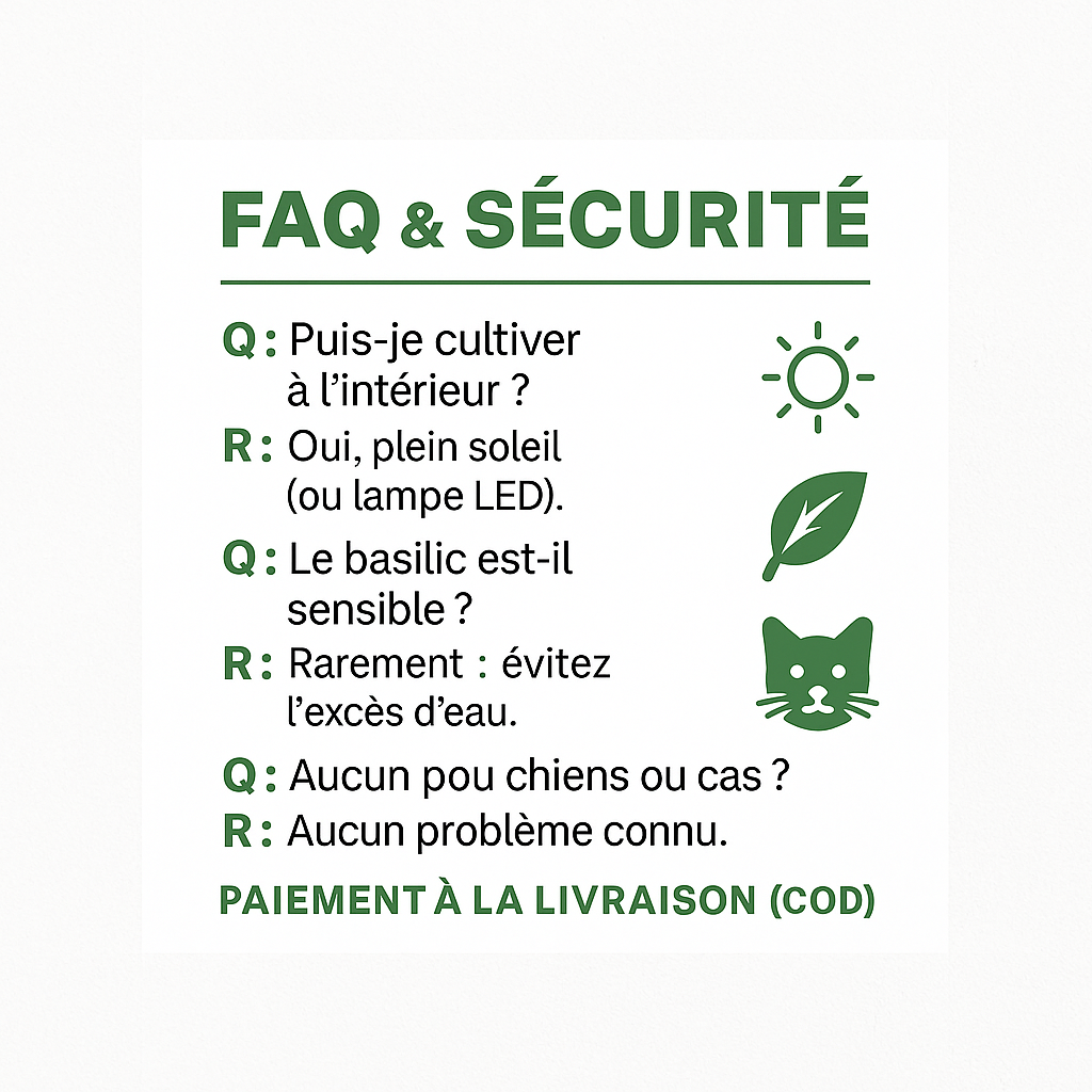 Sokoneo™ Graines de Basilic_ML