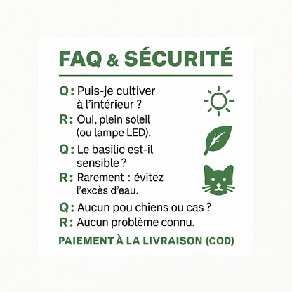 Sokoneo™ Graines de Basilic_ML