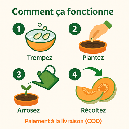 Sokoneo™ Graines de Melon_GN