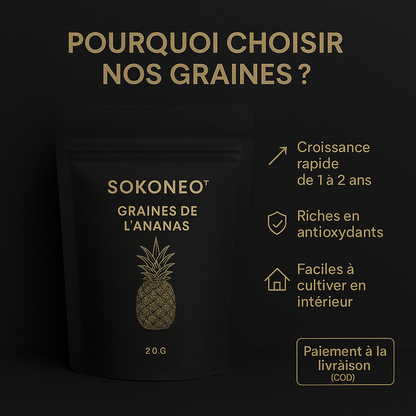 Sokoneo™ Graines de L’ananas_CD