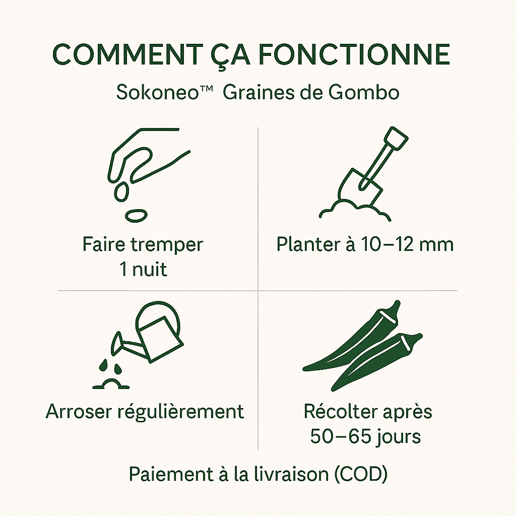 Sokoneo™ Graines de Gombo_KG