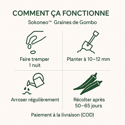Sokoneo™ Graines de Gombo_KG