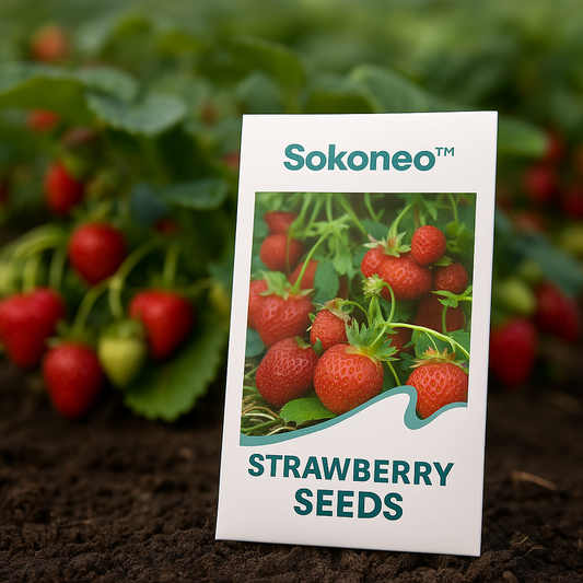 okoneo™ Graines de Fraises_BR