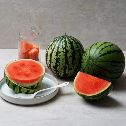 Sokoneo™ Graines de Pastèque_CD