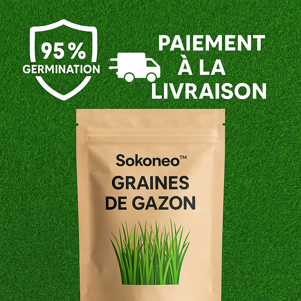 Sokoneo™ Graines de Gazon_SN