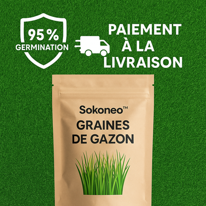 Sokoneo™ Graines de Gazon_SN