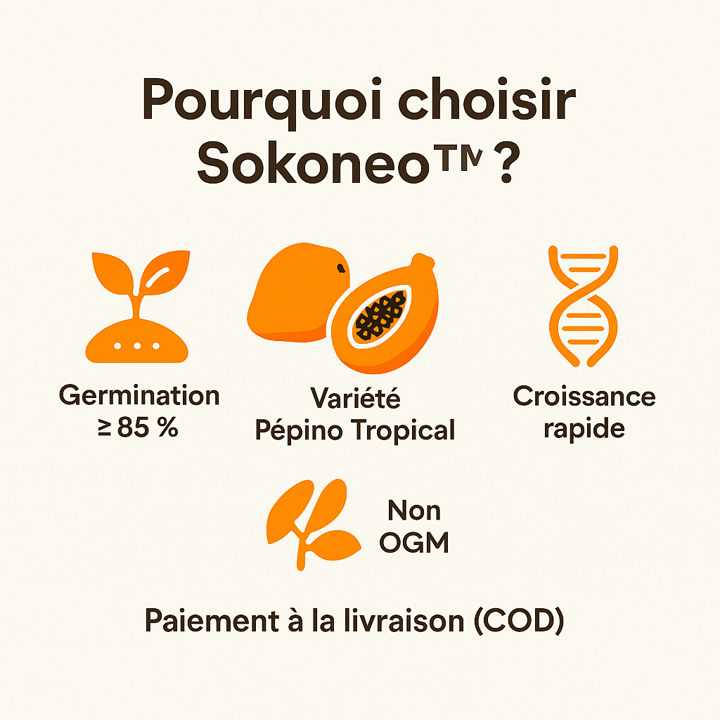 Sokoneo™ Graines de Papaye_GN