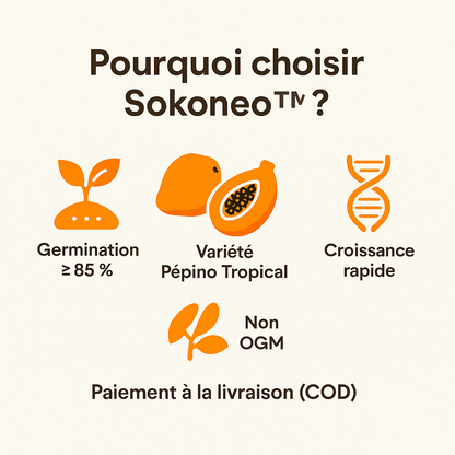 Sokoneo™ Graines de Papaye_GN