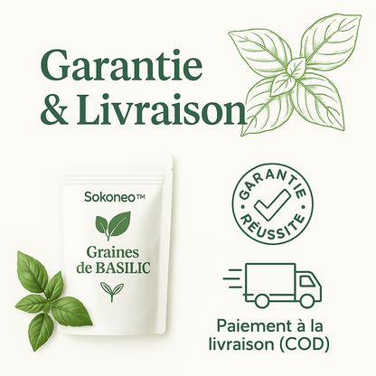 Sokoneo™ Graines de Basilic_ML