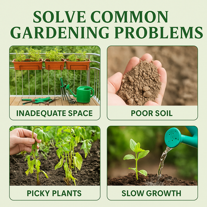 Sokoneo™ Graines de Menthe_ML