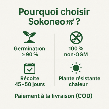 Sokoneo™ Graines de Gombo_KG