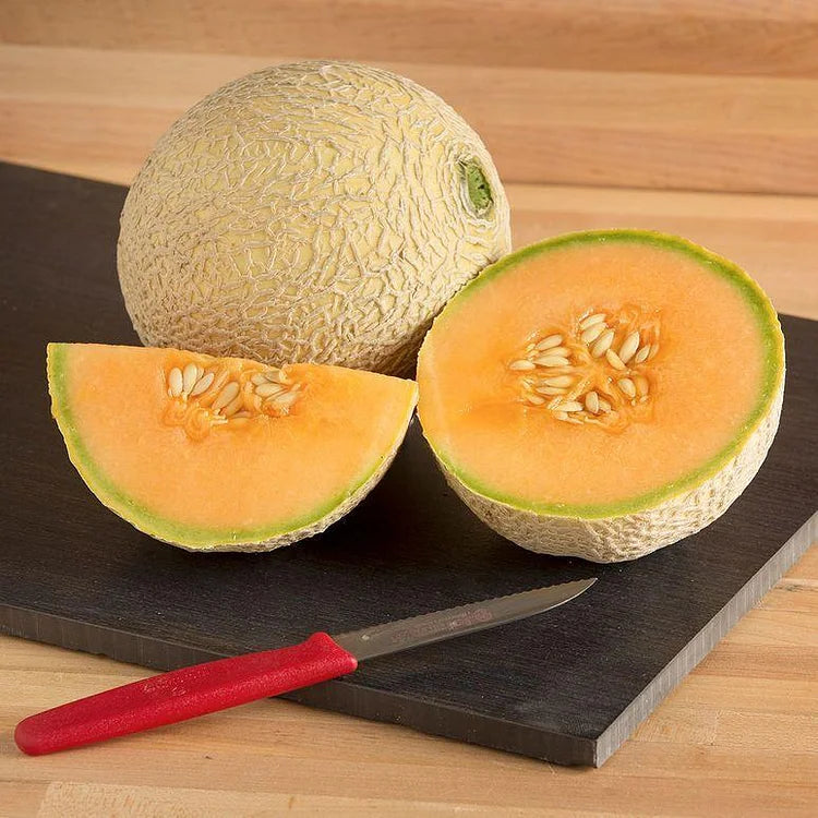 Sokoneo™ Graines de Melon_GN